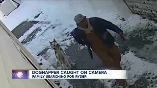 Security camera catches dognapper in the act