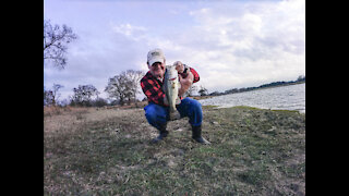 Fish On the Pond