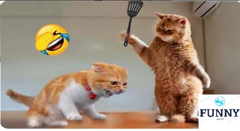 Funniest Animals 2023 😂 Funny Dogs and Cats Videos 😺🐶 Part 1 ℱᵒᒻᒻᵒ꒳◡̈⃝