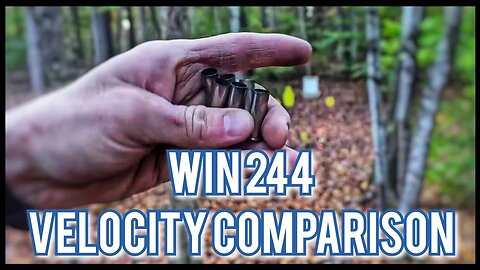 38 Spl Velocity Comparison Between 1-7/8" Ruger LCR and 4" Blackhawk With Winchester 244 Powder