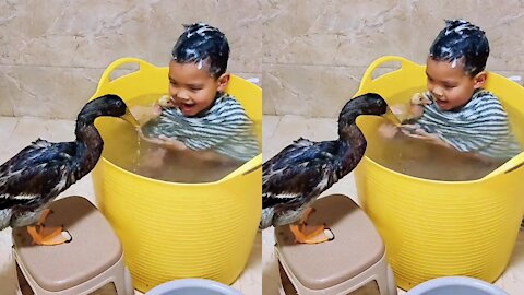 Funny little boy teking a bath with ducks very cute and happy