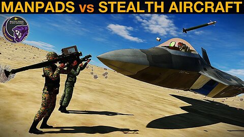 Are Stealth Aircraft Vulnerable To Stinger MANPADS Missiles? (and other science) | DCS