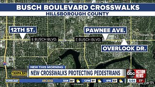 New, high-intensity crosswalks slated for Busch Boulevard and Hillsborough Avenue