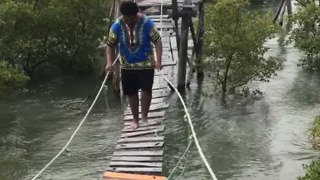 A Man Falls Off A Small Rickety Bridge