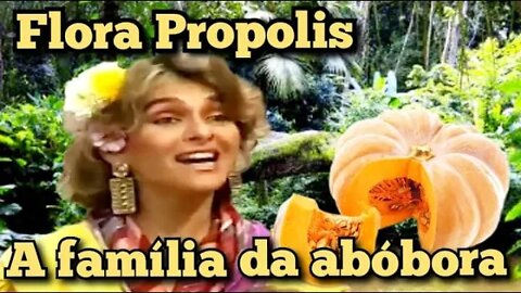 Escolinha do Professor Raimundo;Flora Propolis, a que família pertence a abóbora!