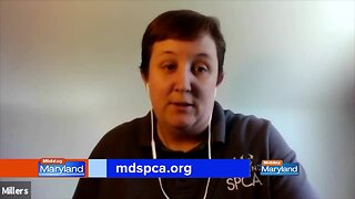 MDSPCA - Update
