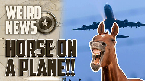 WE have a Mother F*ing HORSE on the PLANE! | Weird News With Cap