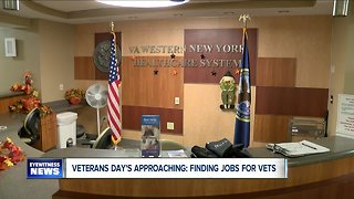 Veteran's Day: Where vets can go for assistance in finding work