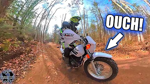 How The TW200 Stacks Up Against My Tenere 700 & KLR 650 on Jumps & Rough Trails