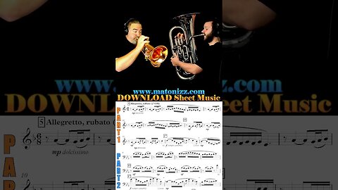 Delibes 🌷 Duet: 💮Flugelhorn + 🏵️Euphonium #flowerduet #delibes #euphonium #flugelhorn #comparison