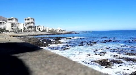 SOUTH AFRICA - Cape Town - Table Bay Kayaking (Video) (MBk)