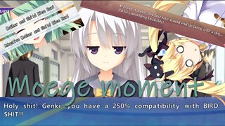 Moege is the True Kamige of Visual Novels