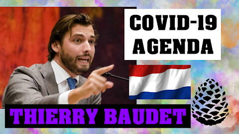 COVID-19 AGENDA by Thierry Baudet, Speech in Dutch Parliament, Pinecone