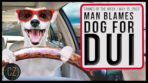 Crimes Of The Week: May 15, 2023 | New Mexico Shooting, Man Blames Dog For DUI & MORE Crime News