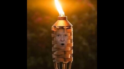 The Ultimate Donald Trump Tiki Torch Meme! 🔥