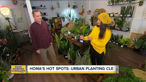 Homa's Hot Spots: Urban Planting Cleveland