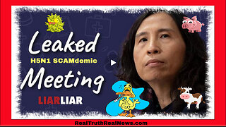 LEAKED MEETING! Canada's Health Officer Theresa Tam and Planning the Next Scamdemic