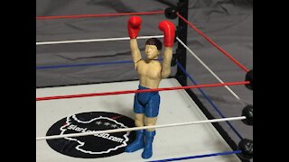 Personalized 3D Figure from a Scan "Boxer Zach"