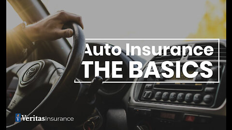 Car Insurance Essentials!