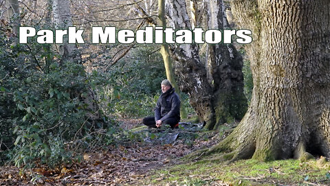 Park Meditators