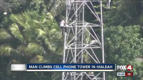 Man climbs cell phone tower in Hialeah