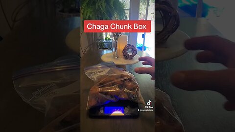 Chaga Chunk Box Alaska Gold Chaga #mushroom