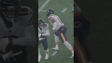 2022 Bears Short Movie Preview 4