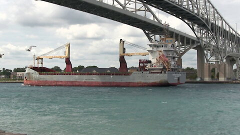 Vectis Progress 124m 407ft Cargo Ship In St Clair River