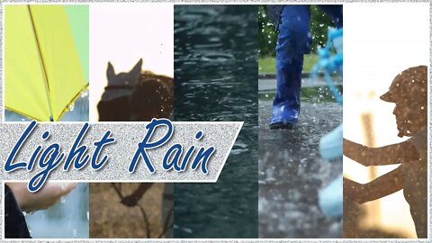 Light Rain (Video Slide Show) - White Noise Sounds for Sleep, Study, Rest...