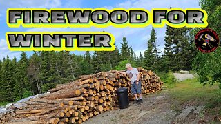 Crane unloading winter firewood logs. #firewood #canada