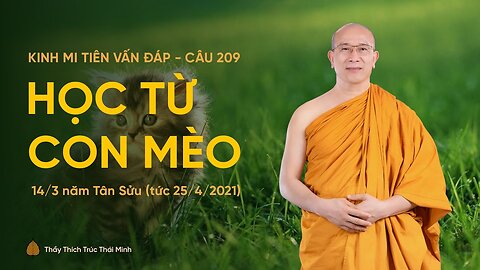 Học từ con mèo, Kinh Mi Tiên vấn đáp câu 209 , Thầy Thích Trúc Thái Minh