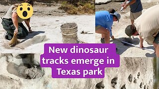 New dinosaur tracks emerge in Texas park as drought causes water to recede #texas #drought #NEWS