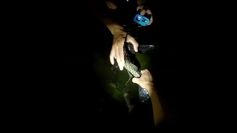 night fishing