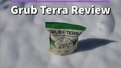 Grub Terra Review - Chickens Gone Wild - Arizona Homestead