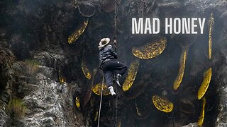 Mad Honey: The Most Interesting Honey In The World