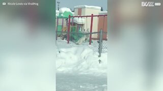 L'abominable bonhomme de neige, observé sur une balançoire