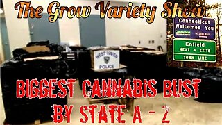 Biggest State Cannabis Bust: Connecticut
