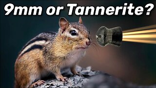 9mm or Tannerite... which is best for chipmunks?