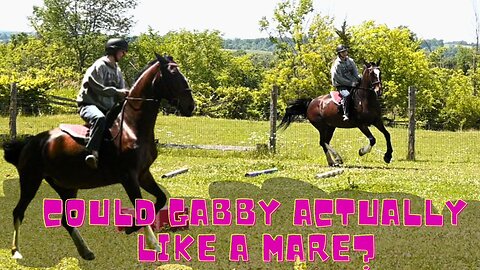 Could Gabby Actually Like A MARE