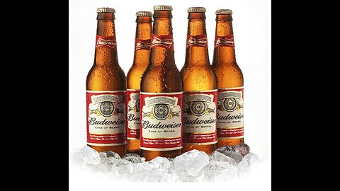 Budweiser Beer Review 5.0 abv