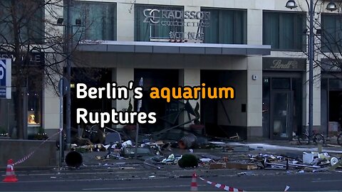 Berlin's enormous freestanding aquarium ruptures