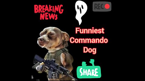 Most funniest Commando Dog Here🐶🐕| #funnydogs #viral #funnyanimalvideos