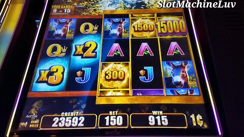 Huge win on Wild Wild Nudget slot machine | Jackpot hand pay