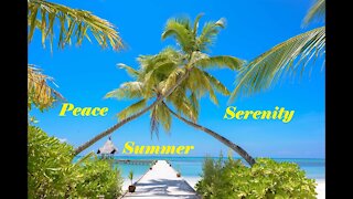 ☀️Summer Peace & Serenity🌴Positive Energy 🌸Relaxing Music🌸Soothing Chill Out💮Good Vibes 💮Chill Lofi🌼