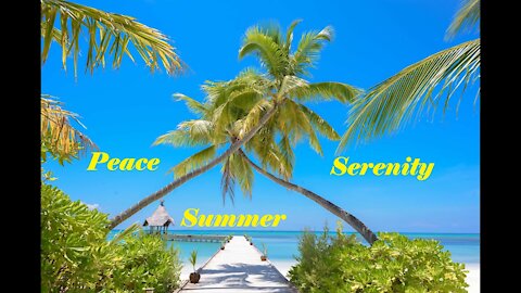 ☀️Summer Peace & Serenity🌴Positive Energy 🌸Relaxing Music🌸Soothing Chill Out💮Good Vibes 💮Chill Lofi🌼