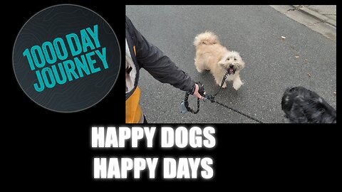 1000 Day Journey 0198 Happy Dogs, Happy Days
