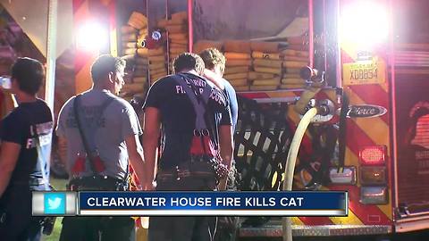Clearwater house fire kills cat