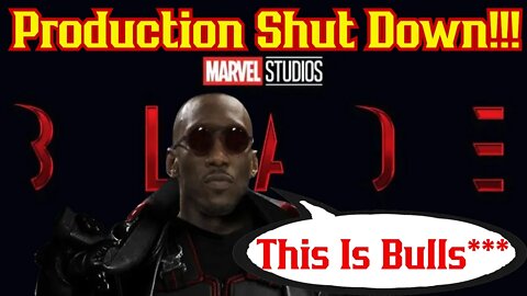Blade Movie Production SHUTDOWN! Delayed Release AGAIN!