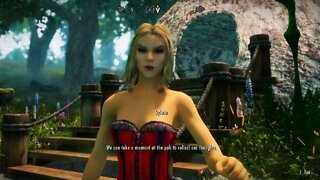 Skyrim SE Mods PC - Summerset Isle