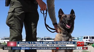 Bakersfield K-9 Trials returns July 20